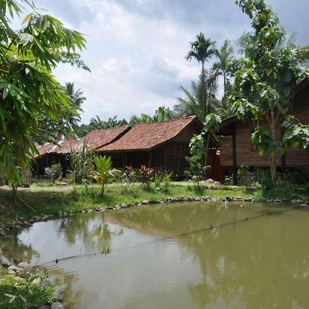 The Pikas Resort Wonosobo Exterior photo